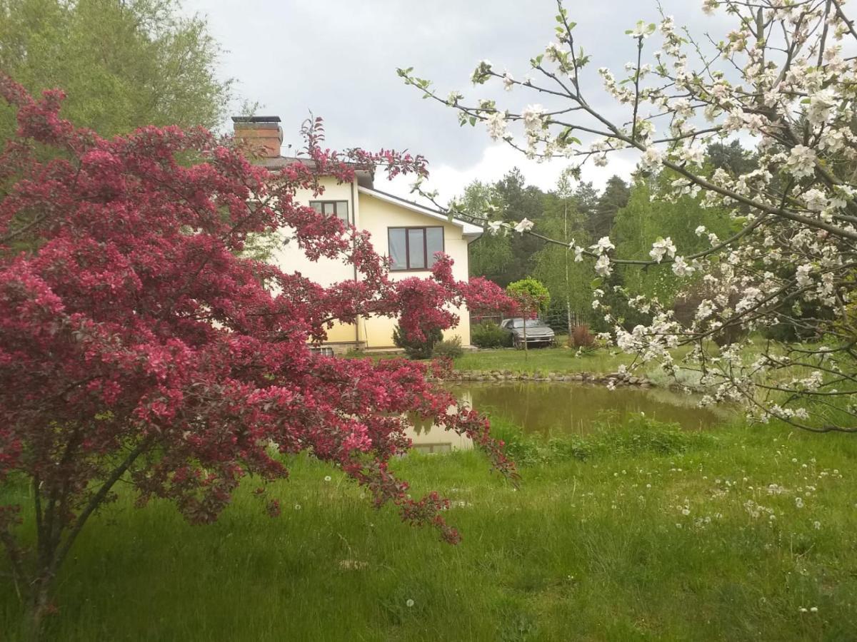 Guest House Pechersky & Sons Dreilini  Esterno foto