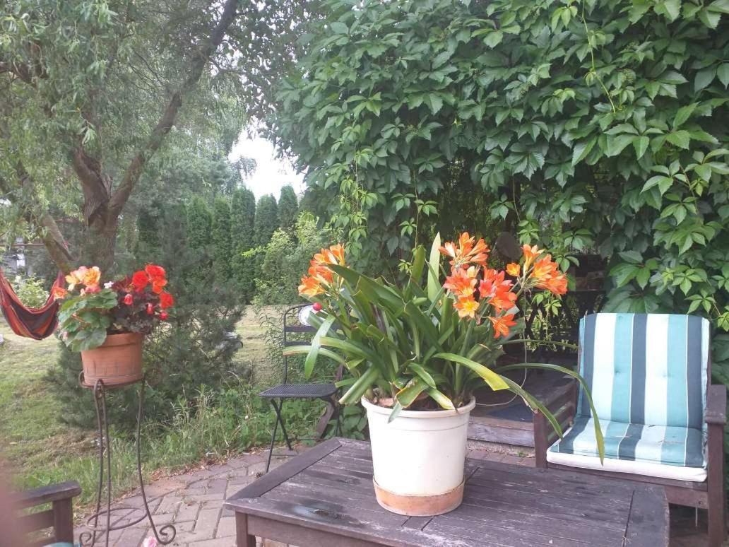 Guest House Pechersky & Sons Dreilini  Esterno foto