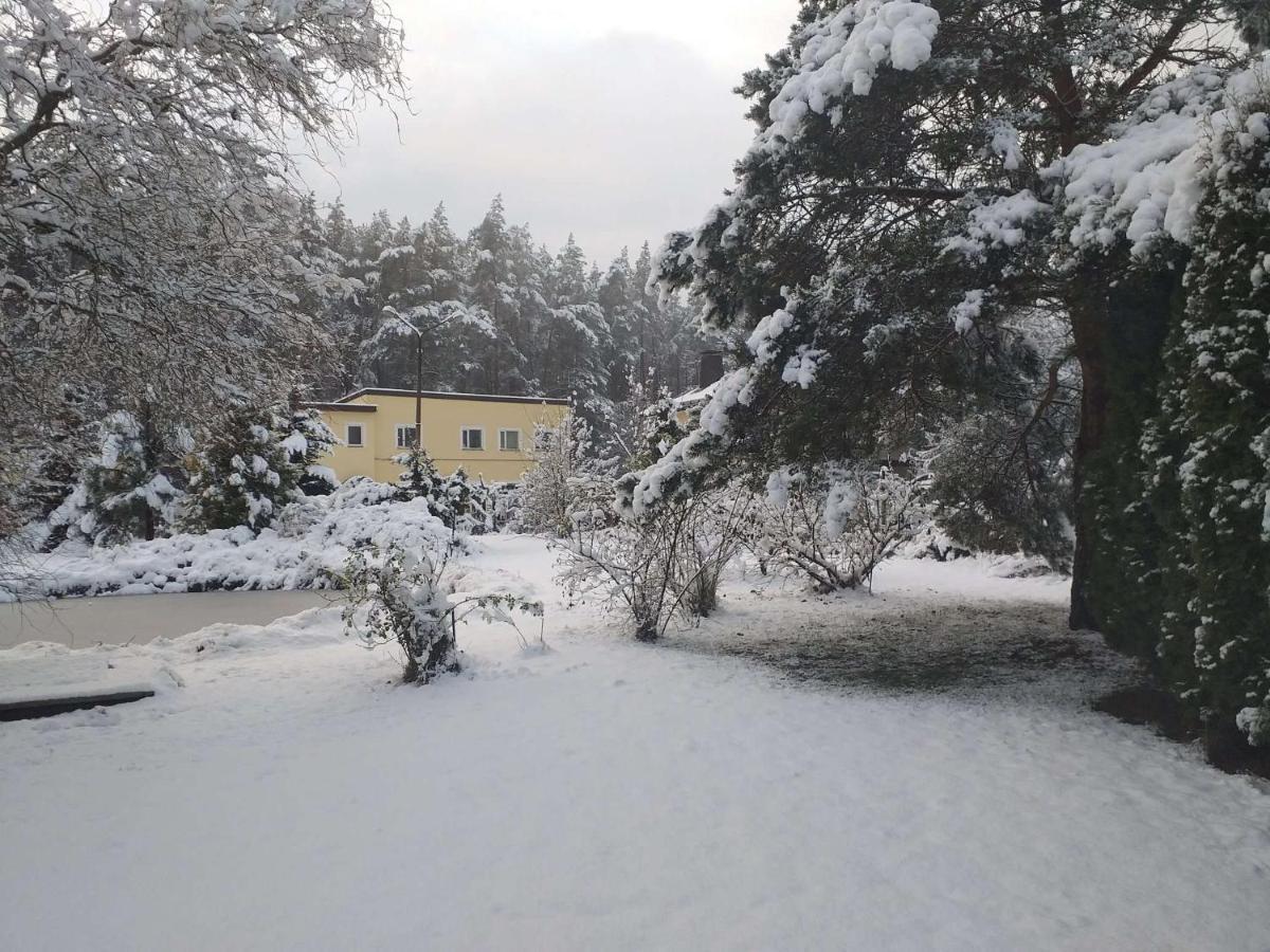 Guest House Pechersky & Sons Dreilini  Esterno foto