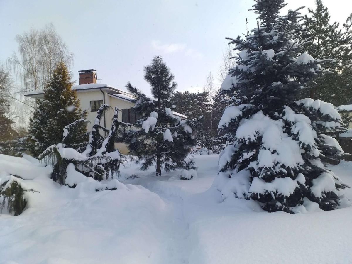 Guest House Pechersky & Sons Dreilini  Esterno foto