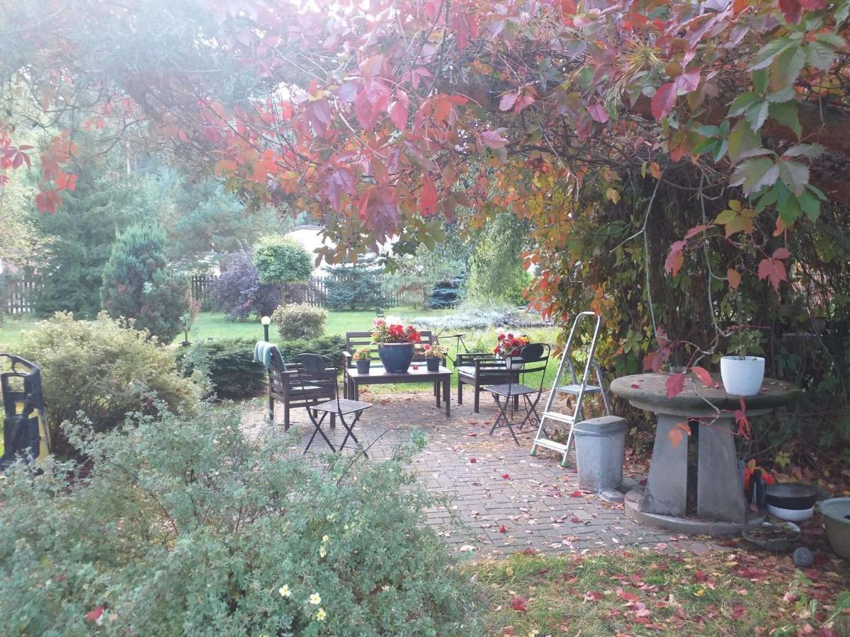 Guest House Pechersky & Sons Dreilini  Esterno foto