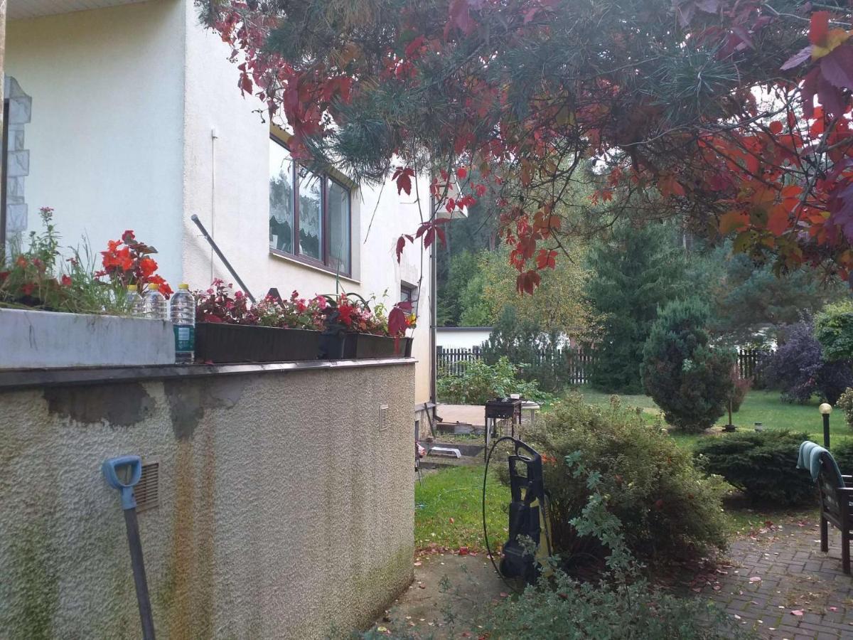 Guest House Pechersky & Sons Dreilini  Esterno foto