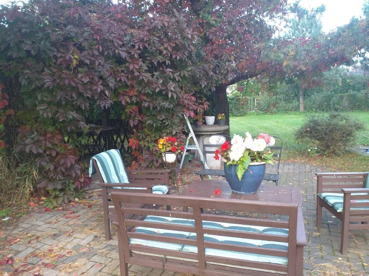 Guest House Pechersky & Sons Dreilini  Esterno foto