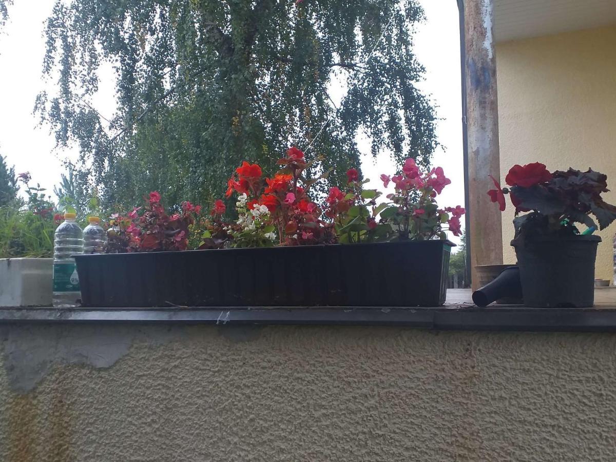 Guest House Pechersky & Sons Dreilini  Esterno foto